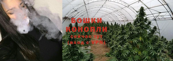 ПСИЛОЦИБИНОВЫЕ ГРИБЫ Мегион