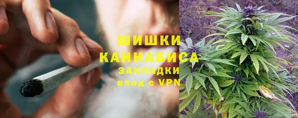 ПСИЛОЦИБИНОВЫЕ ГРИБЫ Мегион