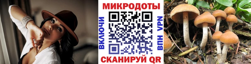 Галлюциногенные грибы MAGIC MUSHROOMS  Одинцово 