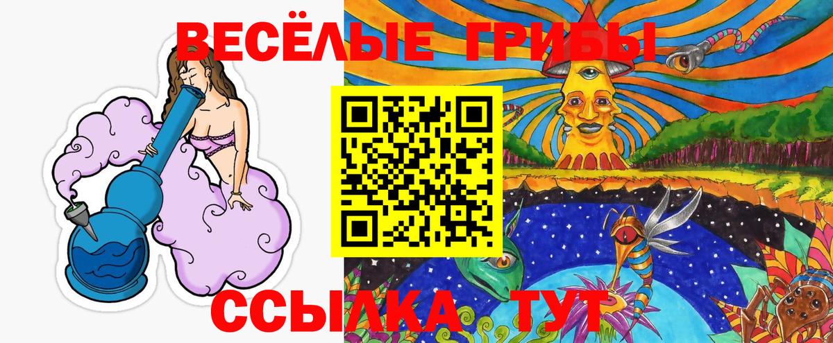 Одинцово  где найти   Вход с VPN  Галлюциногенные грибы GOLDEN TEACHER 